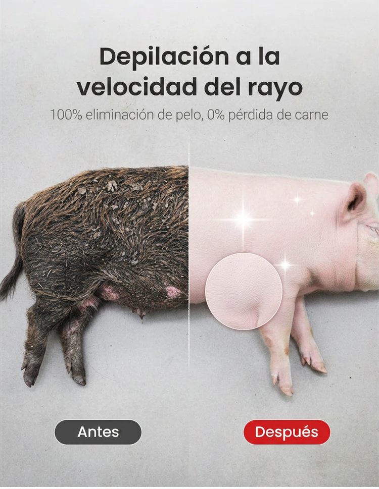 ⏰🔥 ¡50% DE DESCUENTO POR TIEMPO LIMITADO! 🐖✨ Disco Raspador para Quitar Pelo de Cerdo – Ahorra Esfuerzo y Tiempo 💪🌟