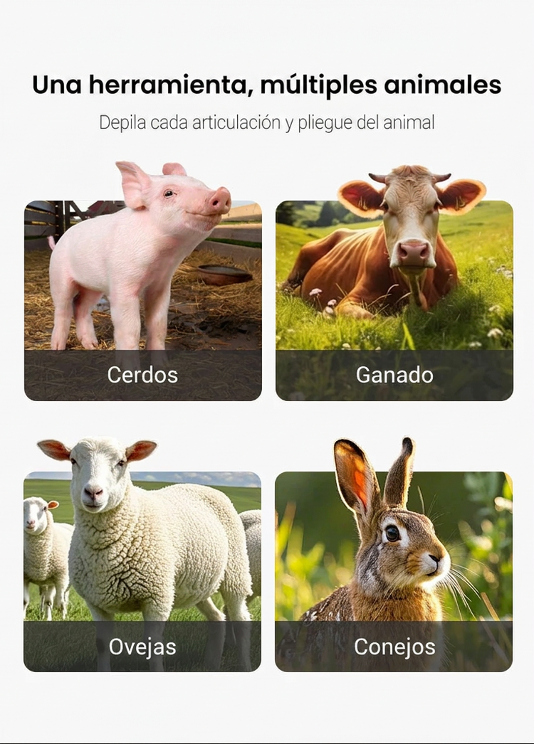 ⏰🔥 ¡50% DE DESCUENTO POR TIEMPO LIMITADO! 🐖✨ Disco Raspador para Quitar Pelo de Cerdo – Ahorra Esfuerzo y Tiempo 💪🌟