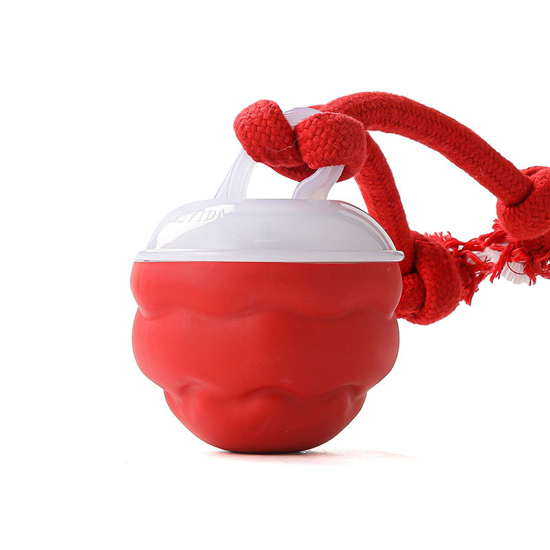 🐾 ¡Mitad de Precio! Pelota Interactiva para Mascotas – Juguete Calmante, Ideal para Perros y Gatos 🎉🎁