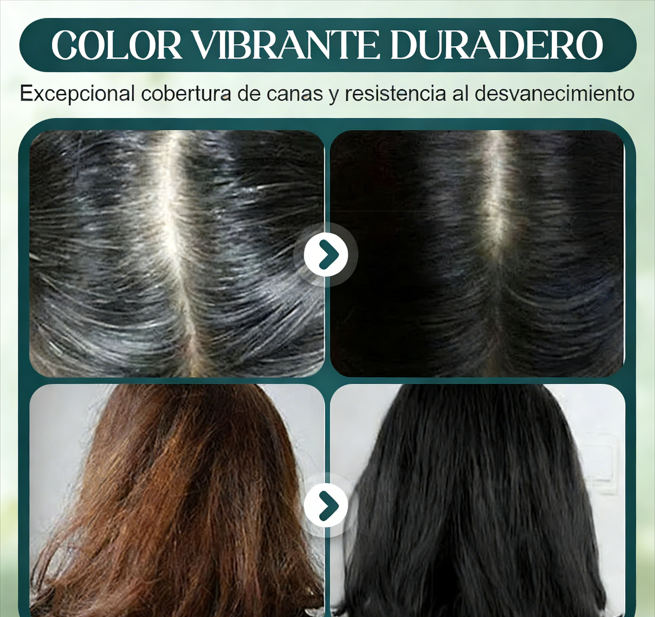 💇‍♀️ Set de Tintes para el Cabello de Larga Duración – Cobertura Completa de Canas sin Dañar el Cuero Cabelludo ✨🌈