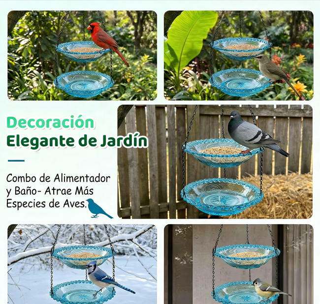 🐦 Comedero para Pájaros Estilo Vintage con Bañera – Fácil de Colgar y Llenar, Ideal para Petirrojos y Herrerillos Azules 🏡✨