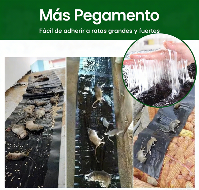 ⏰ ¡Oferta Limitada 50% OFF! 🐭 Trampa Adhesiva Grande para Ratones – Captura Rápida y Eficaz, Fácil de Usar ✨🏠