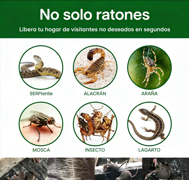 ⏰ ¡Oferta Limitada 50% OFF! 🐭 Trampa Adhesiva Grande para Ratones – Captura Rápida y Eficaz, Fácil de Usar ✨🏠