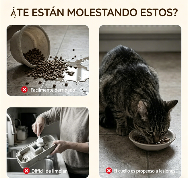 ⏰🔥 ¡Oferta Especial 50% OFF! 🐾 Comedero Elevado Antideslizante – 3 Cuencos para Alimentar a tus Mascotas con Comodidad ✨🍖