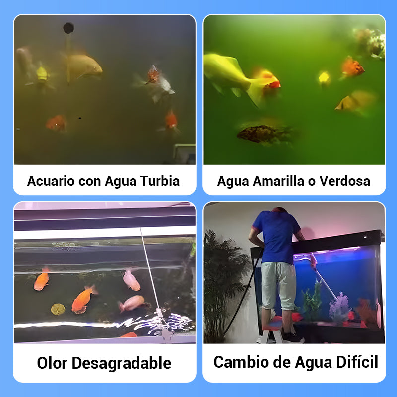 💧🐠 Tableta Potente de Purificación de Agua para Acuarios – Agua Cristalina y Saludable para tus Peces 🐟✨