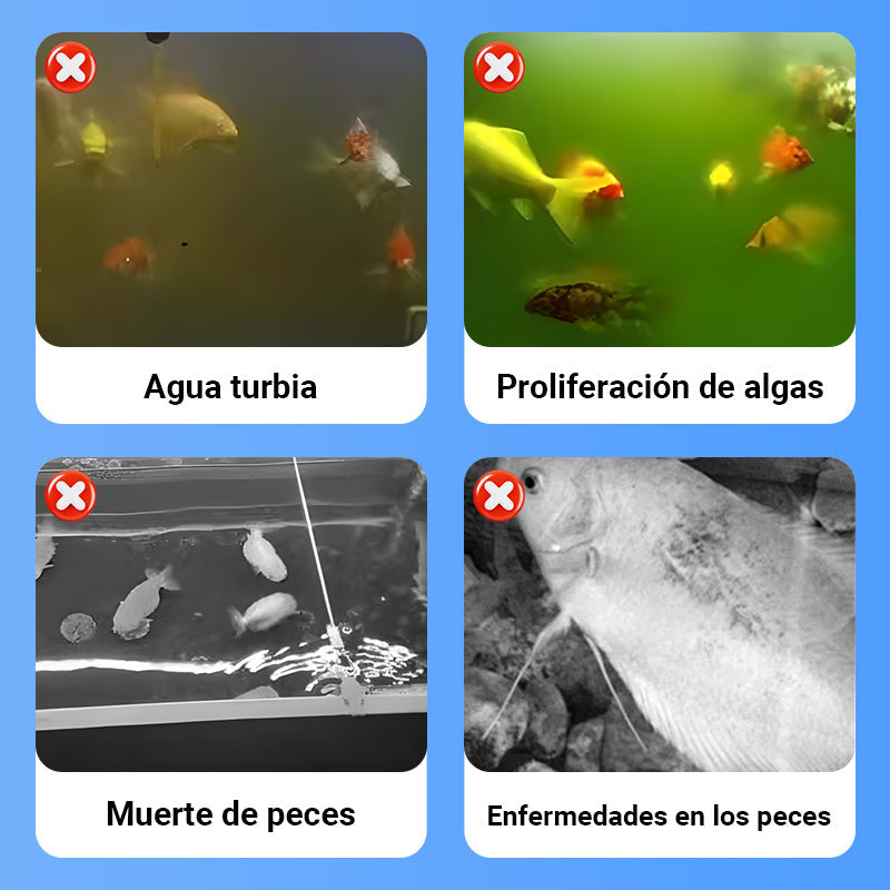 ⏰🔥 ¡Oferta Especial 50% OFF! 🐟 Lavado Potente para Acuarios – Agua Limpia y Cristalina en Minutos 🪸✨