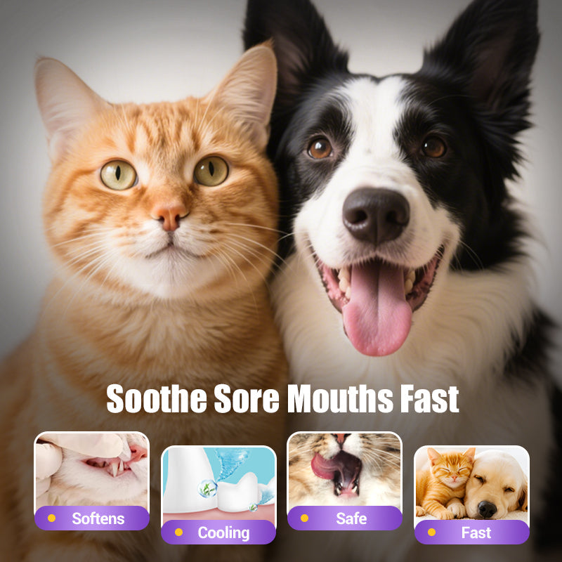 🔥 ÚLTIMO DÍA - COMPRA 1 Y LLÉVATE 1 GRATIS 🔥 Cepillo de dientes en gel reparador bucal para mascotas 🐱🐶