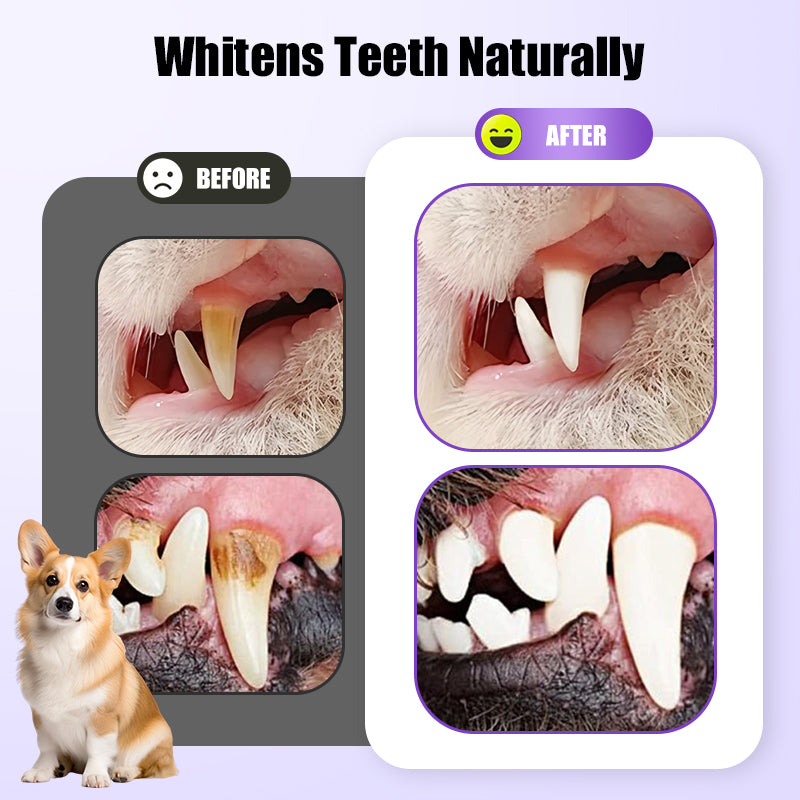 🔥 ÚLTIMO DÍA - COMPRA 1 Y LLÉVATE 1 GRATIS 🔥 Cepillo de dientes en gel reparador bucal para mascotas 🐱🐶