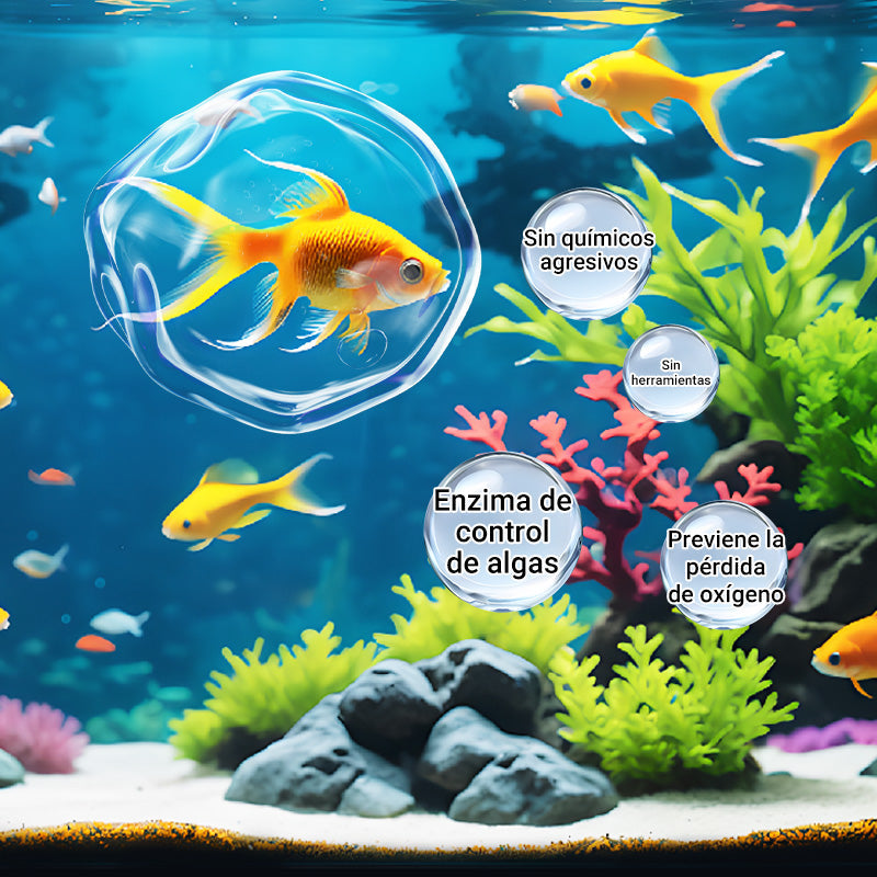 ⏰🔥 ¡Oferta Especial 50% OFF! 🐟 Lavado Potente para Acuarios – Agua Limpia y Cristalina en Minutos 🪸✨