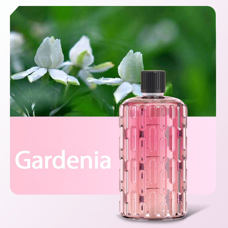 Regalo creativo * Máquina multifuncional inalámbrica automática para aromaterapia