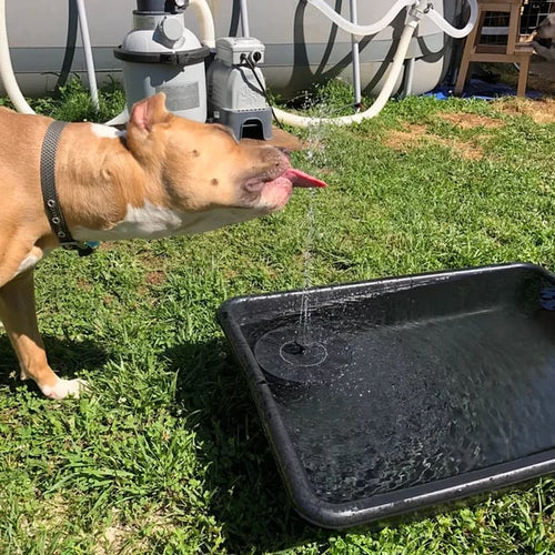 ⏰ ¡Oferta Limitada 50% OFF! 🔆 Fuente Solar con Bomba Sumergible – 4 Boquillas, Ideal para Estanques, Jardines, Piscinas y Acuarios 💧🌿