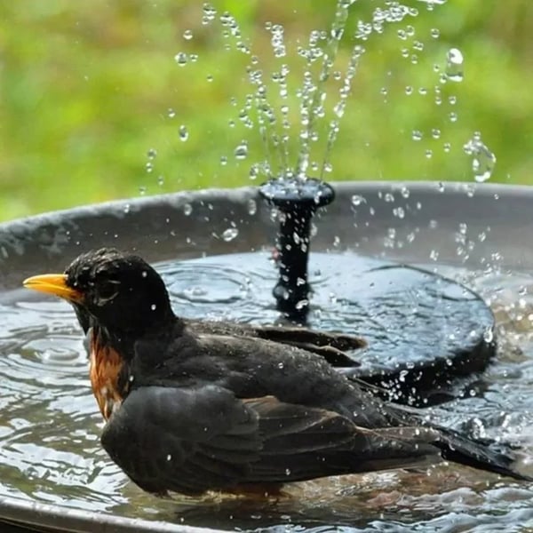 ⏰ ¡Oferta Limitada 50% OFF! 🔆 Fuente Solar con Bomba Sumergible – 4 Boquillas, Ideal para Estanques, Jardines, Piscinas y Acuarios 💧🌿