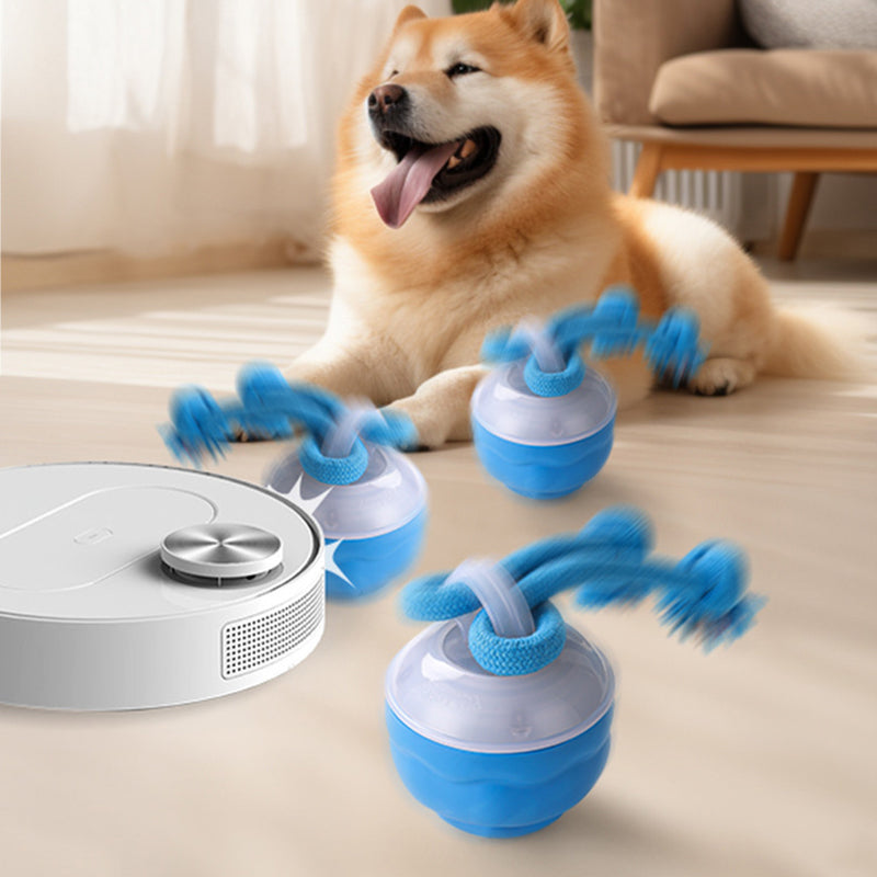 🐾 ¡Mitad de Precio! Pelota Interactiva para Mascotas – Juguete Calmante, Ideal para Perros y Gatos 🎉🎁