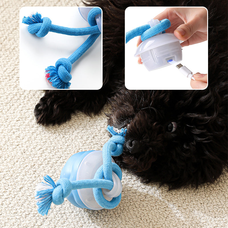 🐾 ¡Mitad de Precio! Pelota Interactiva para Mascotas – Juguete Calmante, Ideal para Perros y Gatos 🎉🎁