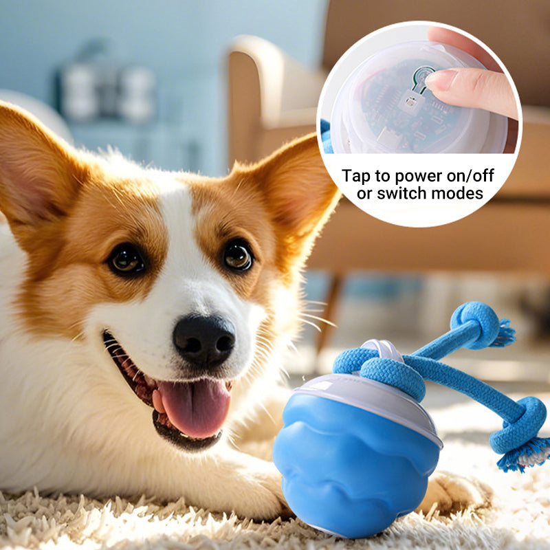 🐾 ¡Mitad de Precio! Pelota Interactiva para Mascotas – Juguete Calmante, Ideal para Perros y Gatos 🎉🎁
