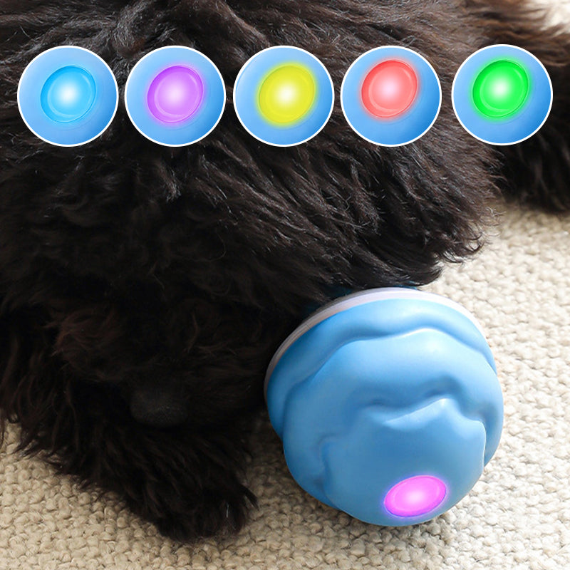 🐾 ¡Mitad de Precio! Pelota Interactiva para Mascotas – Juguete Calmante, Ideal para Perros y Gatos 🎉🎁