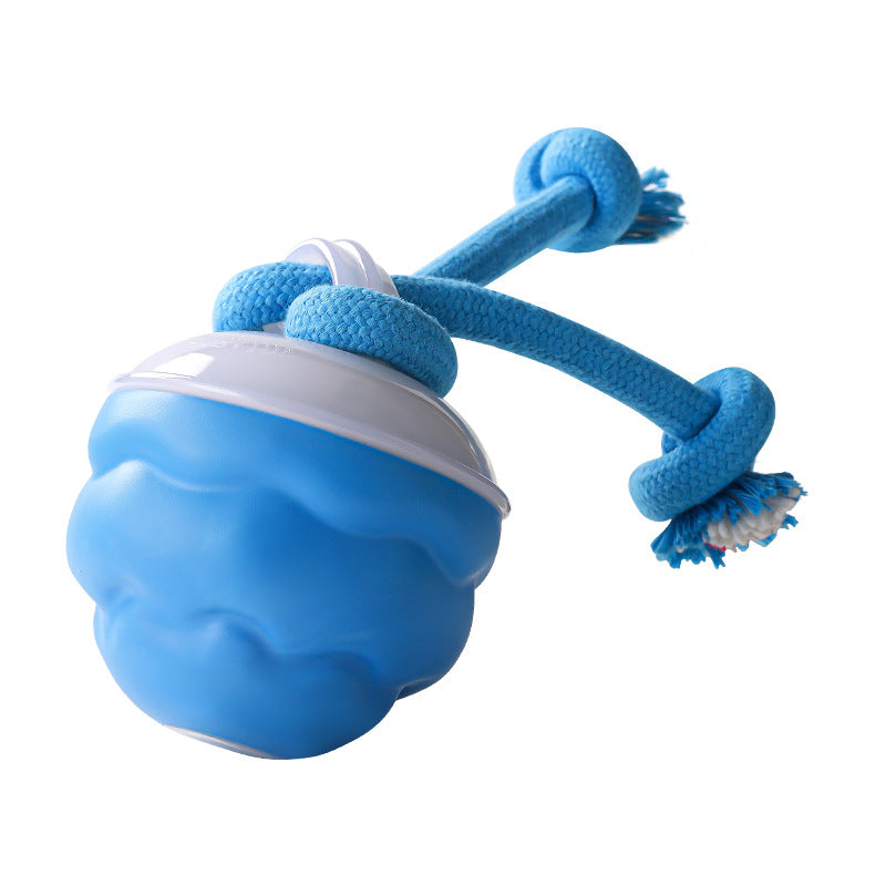 🐾 ¡Mitad de Precio! Pelota Interactiva para Mascotas – Juguete Calmante, Ideal para Perros y Gatos 🎉🎁
