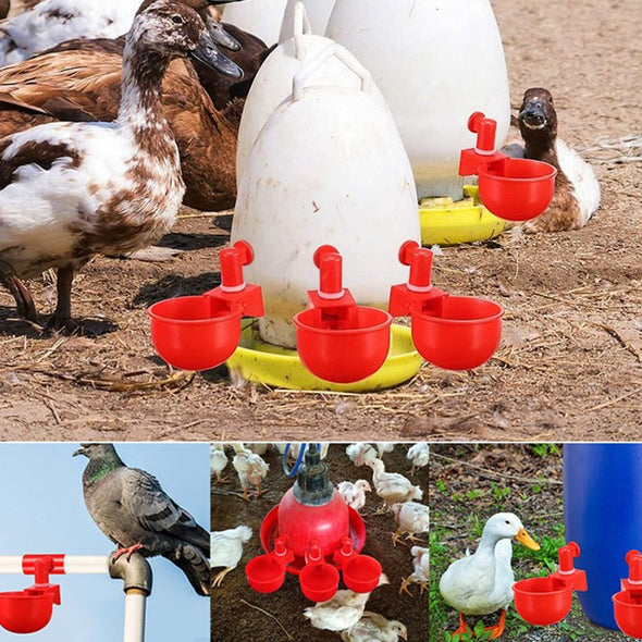 ⏰🔥 ¡50% DE DESCUENTO POR TIEMPO LIMITADO! 🐔 Bebedero Automático para Aves – Fácil de Instalar y Mantén Siempre Agua Limpia 💧✨