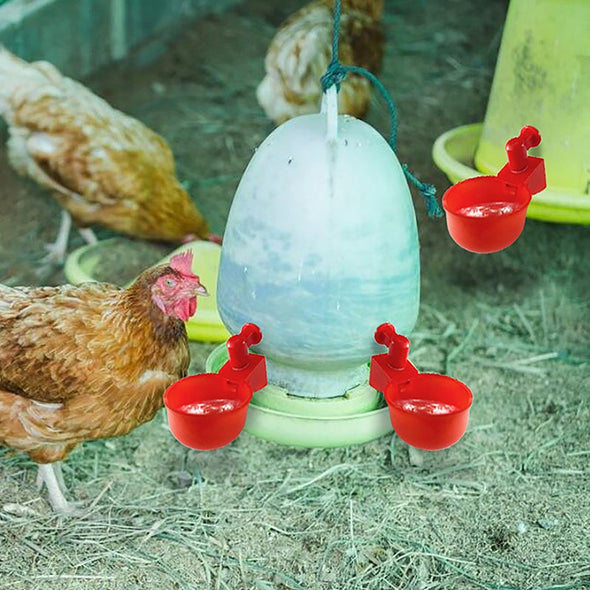 ⏰🔥 ¡50% DE DESCUENTO POR TIEMPO LIMITADO! 🐔 Bebedero Automático para Aves – Fácil de Instalar y Mantén Siempre Agua Limpia 💧✨
