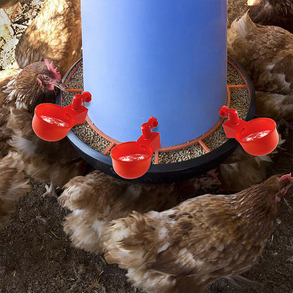 ⏰🔥 ¡50% DE DESCUENTO POR TIEMPO LIMITADO! 🐔 Bebedero Automático para Aves – Fácil de Instalar y Mantén Siempre Agua Limpia 💧✨