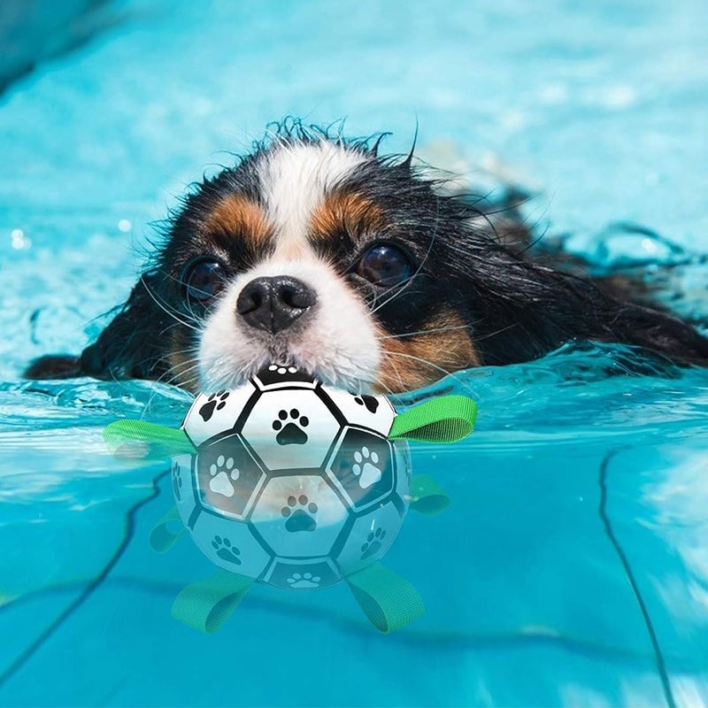 🐕⚽ Juguete de Fútbol Interactivo para Perros – Resistente, Divertido y Perfecto para Jugar al Aire Libre 🎉🐾✨
