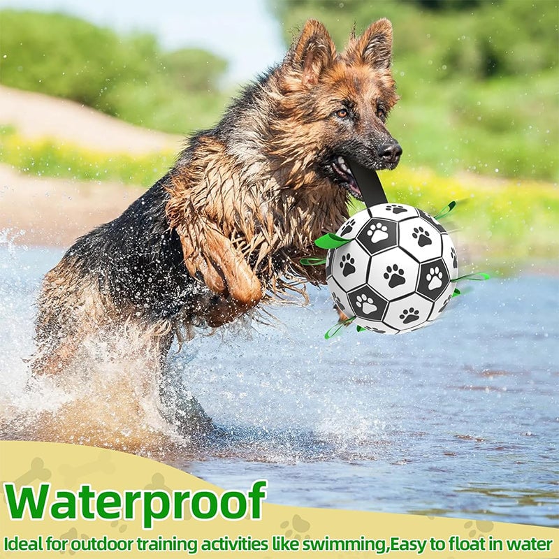 🐕⚽ Juguete de Fútbol Interactivo para Perros – Resistente, Divertido y Perfecto para Jugar al Aire Libre 🎉🐾✨