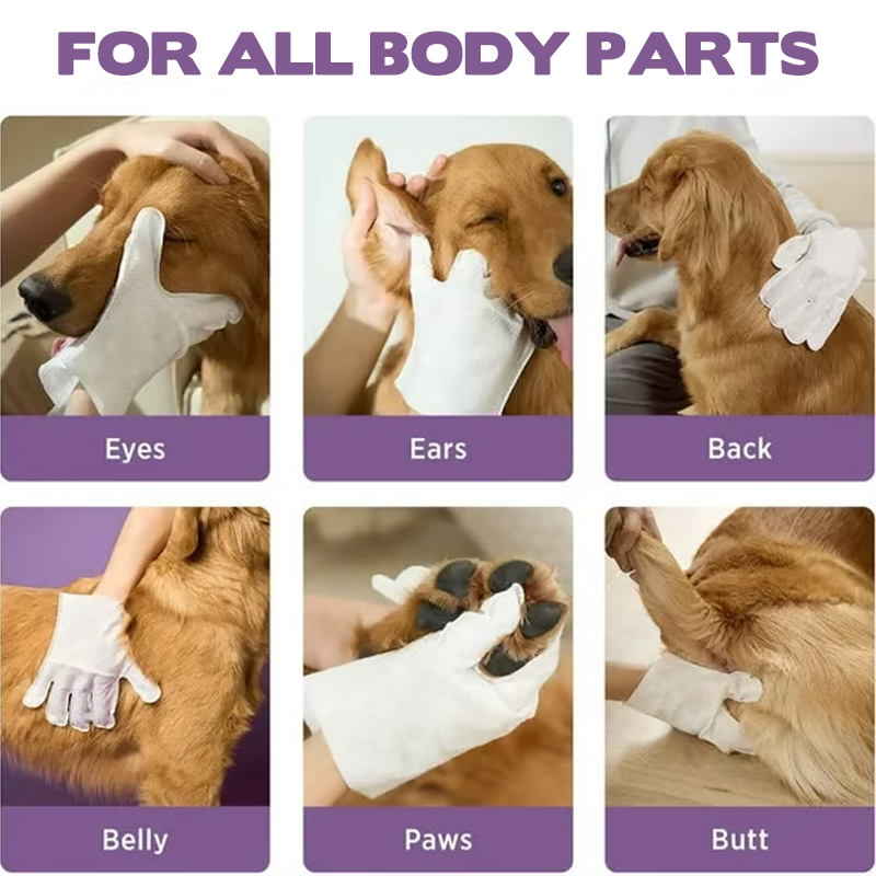🔥🐶🐱 ¡-50% por Tiempo Limitado! Guantes Desodorizantes para Mascotas — Limpieza Fácil sin Agua