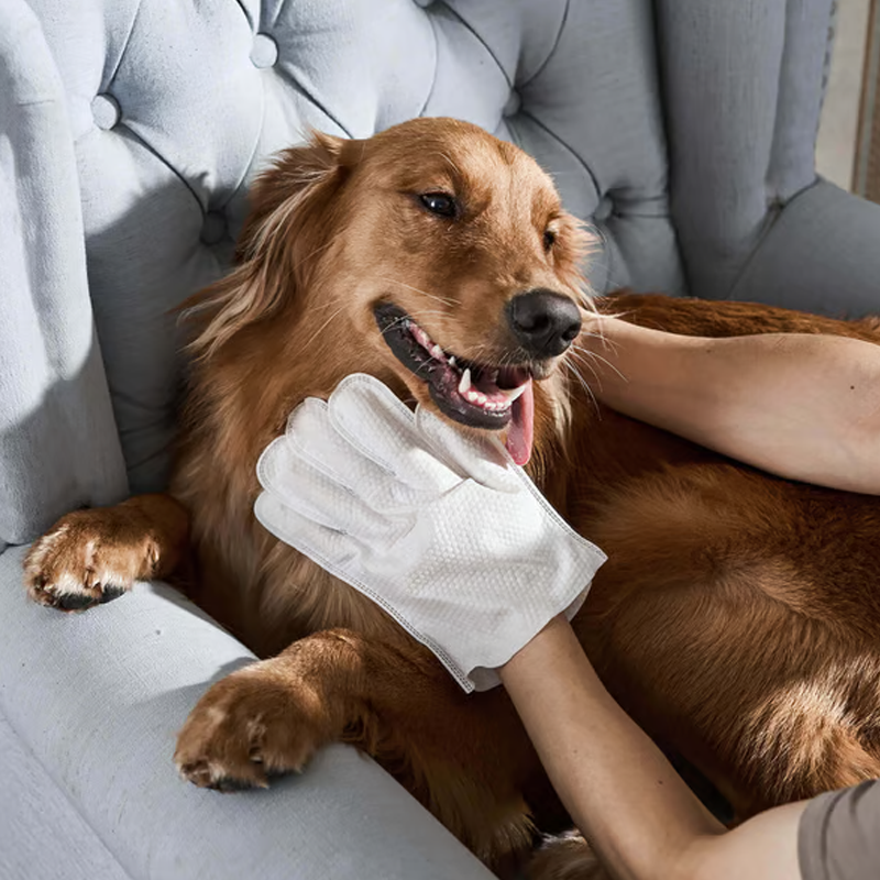 🔥🐶🐱 ¡-50% por Tiempo Limitado! Guantes Desodorizantes para Mascotas — Limpieza Fácil sin Agua
