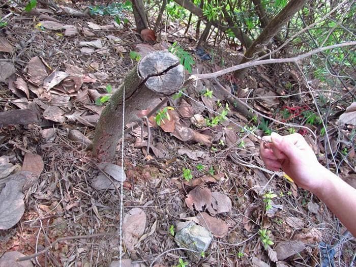 🔥Compre 3 y llévese 5 gratis🔥Sierra de alambre de acero inoxidable para equipo de supervivencia