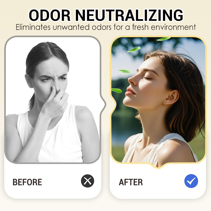 ❄️🌬️ Aromaterapia Invertida Tipo Bola de Nieve – Elimina Olores y Refresca el Ambiente con Estilo ✨