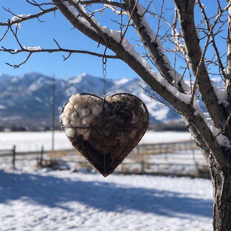 🔥 ¡50% DE DESCUENTO! Corazón Nido de Pájaro Hecho a Mano con Fibras de Alpaca – Decoración Única y Acogedora 🐦🌱❤️