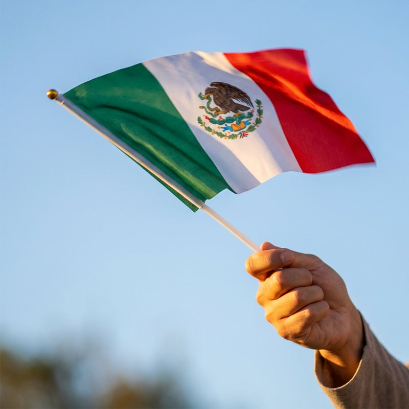 ⏰🔥 ¡Oferta Limitada 50% OFF! 🇲🇽 Ultimate Mexico Match Cheer Kit – Todo lo que Necesitas para Animar y Celebrar el Partido 🎉🎺