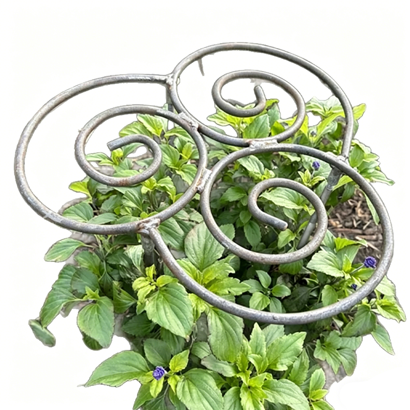 ⏰🔥 ¡50% DE DESCUENTO POR TIEMPO LIMITADO! 🌿 Soporte Resistente para Plantas y Flores – Mantén tus Plantas Firmes y Hermosas Todo el Año ✨💚