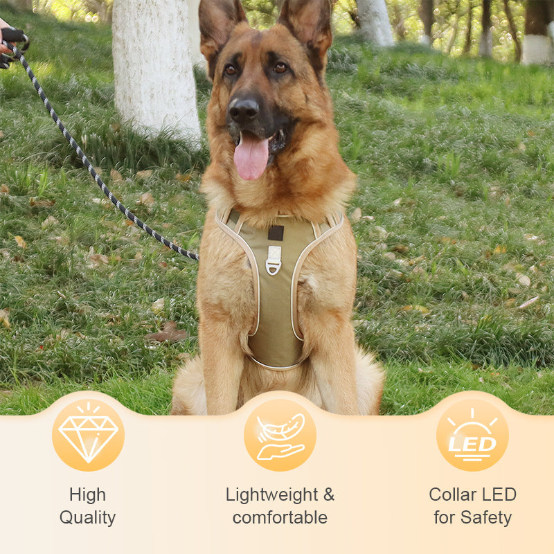 ⏰🔥 ¡50% OFF POR TIEMPO LIMITADO! 🐶 Arnés Anti-Tirón con Correa y LED – Paseos Seguros y Cómodos, ¡Tu Perro Feliz y Visible de Noche! ✨🌙