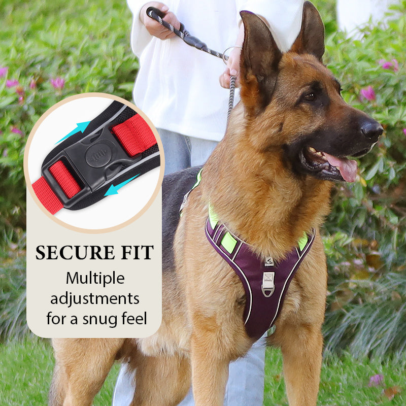 ⏰🔥 ¡50% OFF POR TIEMPO LIMITADO! 🐶 Arnés Anti-Tirón con Correa y LED – Paseos Seguros y Cómodos, ¡Tu Perro Feliz y Visible de Noche! ✨🌙