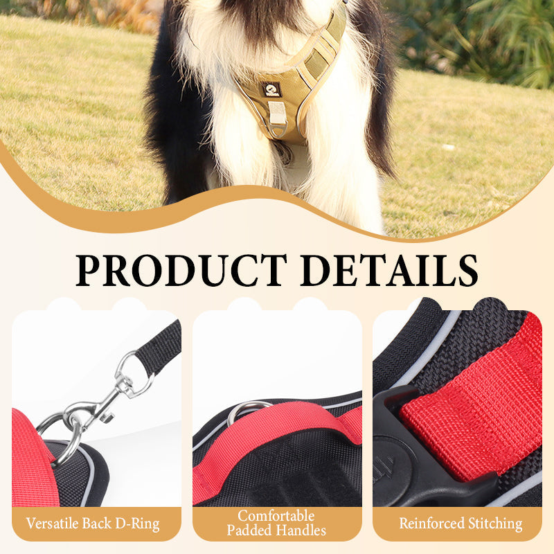 ⏰🔥 ¡50% OFF POR TIEMPO LIMITADO! 🐶 Arnés Anti-Tirón con Correa y LED – Paseos Seguros y Cómodos, ¡Tu Perro Feliz y Visible de Noche! ✨🌙