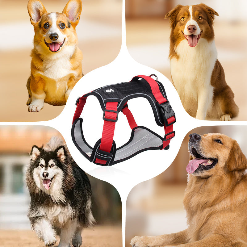 ⏰🔥 ¡50% OFF POR TIEMPO LIMITADO! 🐶 Arnés Anti-Tirón con Correa y LED – Paseos Seguros y Cómodos, ¡Tu Perro Feliz y Visible de Noche! ✨🌙
