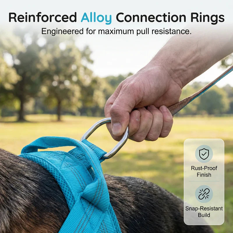 ⏰🔥 ¡50% DE DESCUENTO POR TIEMPO LIMITADO! 🐕 Arnés de Perro Acolchado – Cómodo, Seguro y Fácil de Usar ✨🏞️