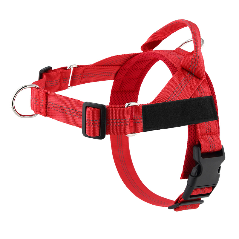 ⏰🔥 ¡50% DE DESCUENTO POR TIEMPO LIMITADO! 🐕 Arnés de Perro Acolchado – Cómodo, Seguro y Fácil de Usar ✨🏞️