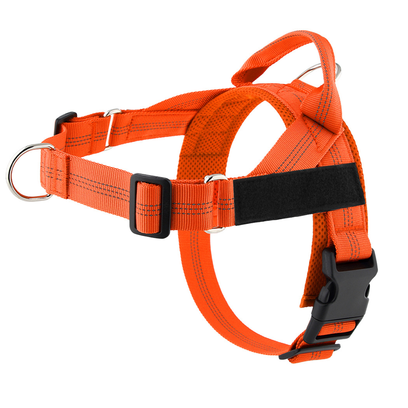 ⏰🔥 ¡50% DE DESCUENTO POR TIEMPO LIMITADO! 🐕 Arnés de Perro Acolchado – Cómodo, Seguro y Fácil de Usar ✨🏞️