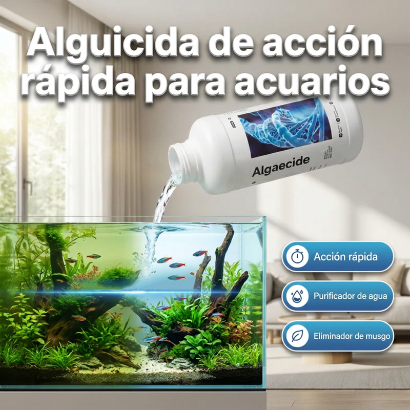 ⏰🔥 ¡ÚLTIMO DÍA DE REBAJAS CON UN 50 % DE DESCUENTO! 🐠 Eliminador de algas de acción rápida para acuarios: seguro, rápido y fácil de usar 💦✨