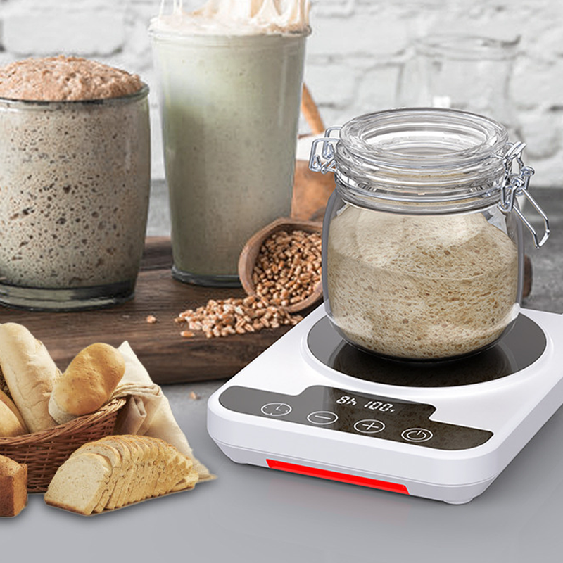 ⏰🔥 ¡50% DE DESCUENTO POR TIEMPO LIMITADO! 🍞 Termostato Digital para Fermentación – Control Preciso y Fácil de Usar ✨🌿