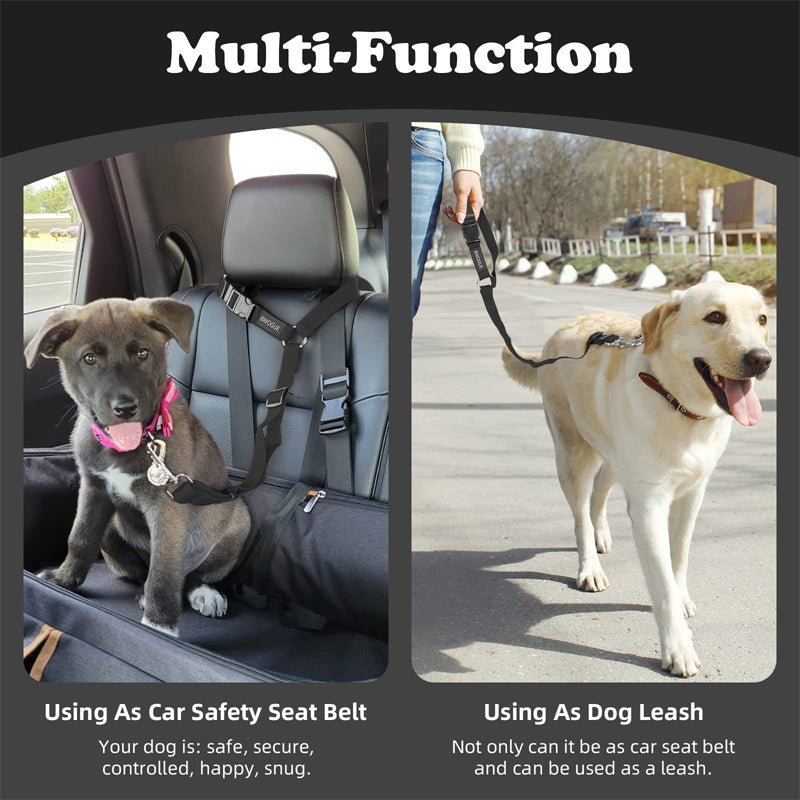⏰🔥 ¡50% DE DESCUENTO POR TIEMPO LIMITADO! 🐶 Cinturón de Seguridad 2 en 1 – Protege a tu Perro en el Auto y en Paseos 🌟✨