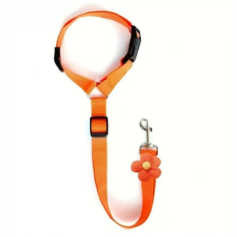 ⏰🔥 ¡50% DE DESCUENTO POR TIEMPO LIMITADO! 🐶 Cinturón de Seguridad 2 en 1 – Protege a tu Perro en el Auto y en Paseos 🌟✨