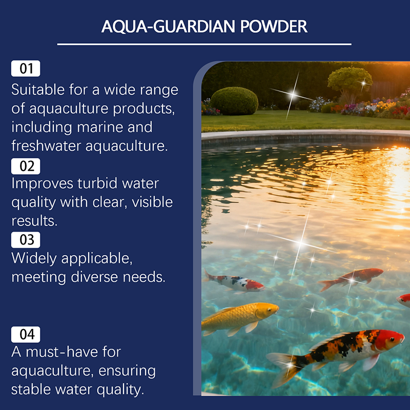 🔥🐟 ¡50% OFF! Clarificador de Agua para Acuarios y Estanques – Agua Cristalina en Poco Tiempo ✨