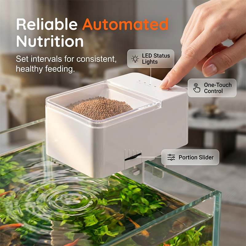 🐠⏰ ¡OFERTA RELÁMPAGO 50% OFF! Comedero Automático Inteligente para Peces – Alimentación Precisa y Sin Preocupaciones