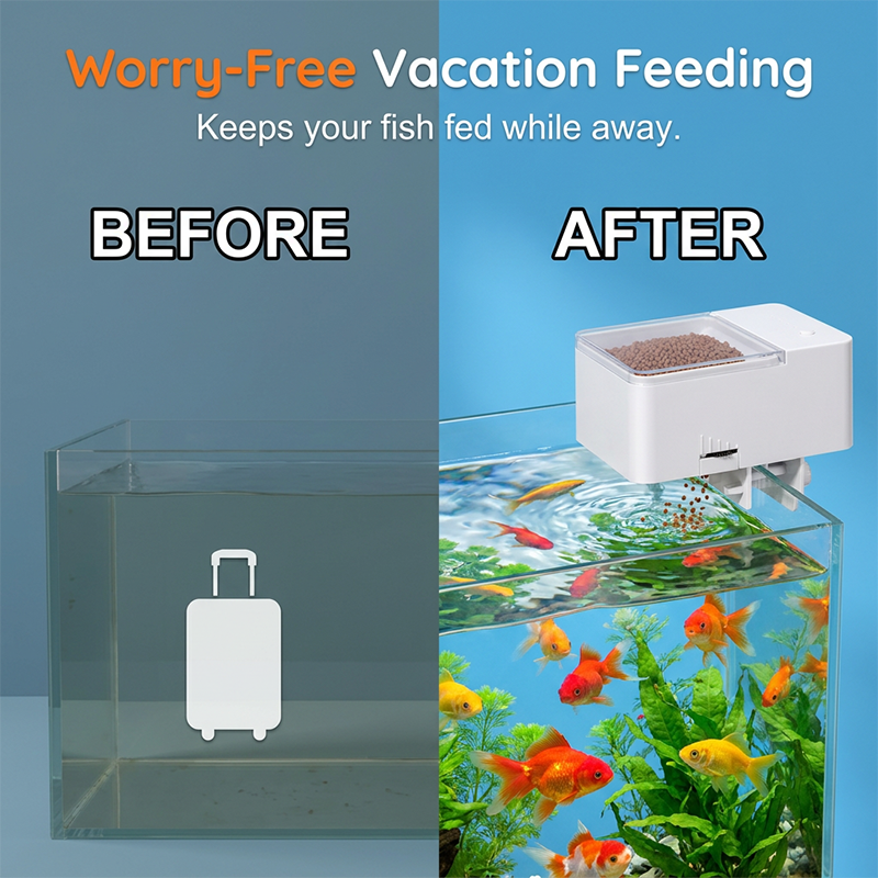 🐠⏰ ¡OFERTA RELÁMPAGO 50% OFF! Comedero Automático Inteligente para Peces – Alimentación Precisa y Sin Preocupaciones