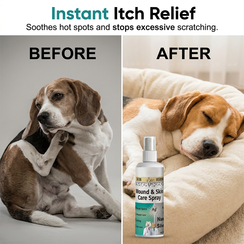 🐶✨ ¡OFERTA 50% OFF! Spray de Cuidado para Mascotas – Cicatrización Rápida y Alivio de Piel