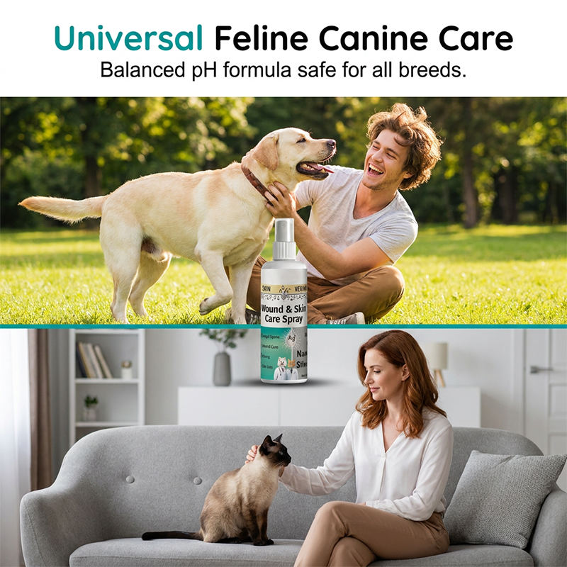 🐶✨ ¡OFERTA 50% OFF! Spray de Cuidado para Mascotas – Cicatrización Rápida y Alivio de Piel